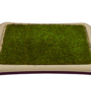 bwn_base_grass